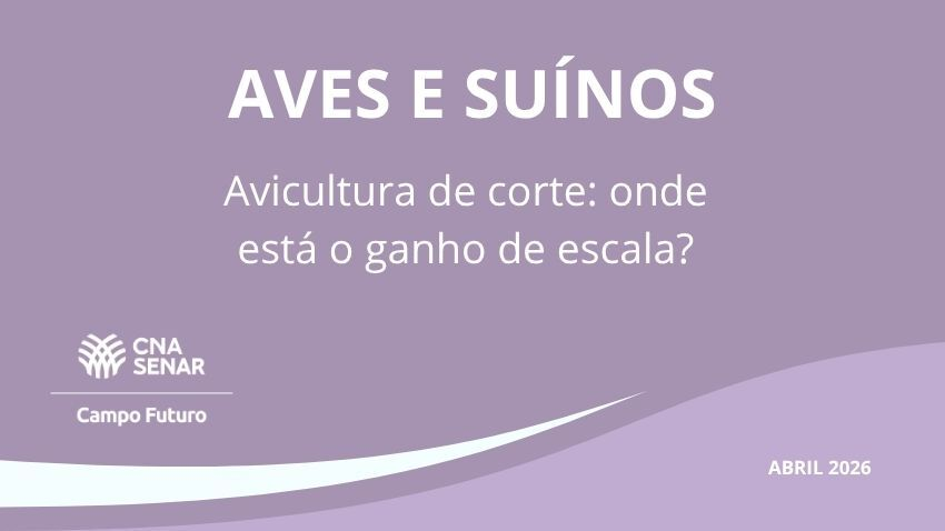 Campo futuro aves suinos abril 26 capinha