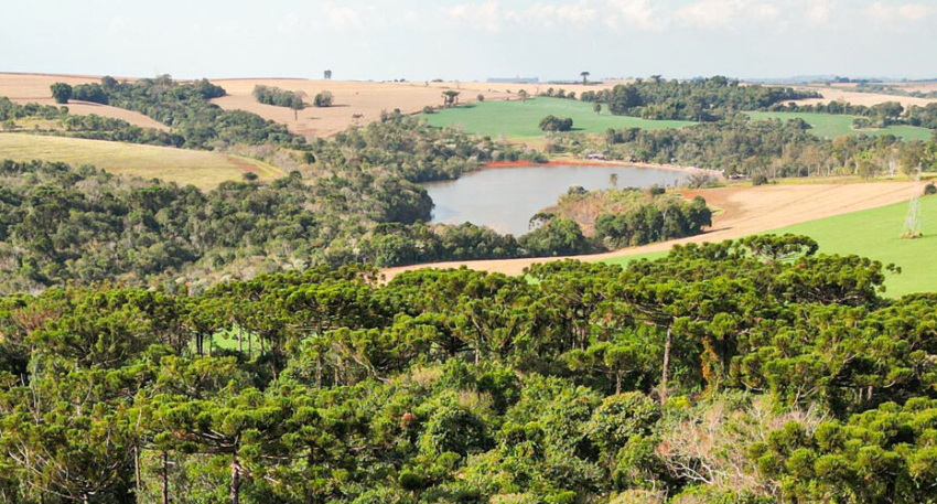 Meio ambiente monitoramento site