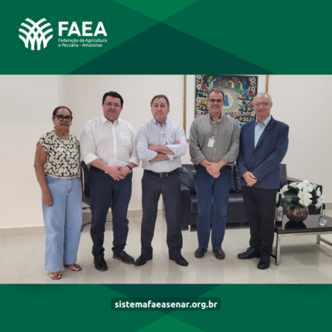 Capa Materia reuniao conselho consumidores Ambar Faea Site 3
