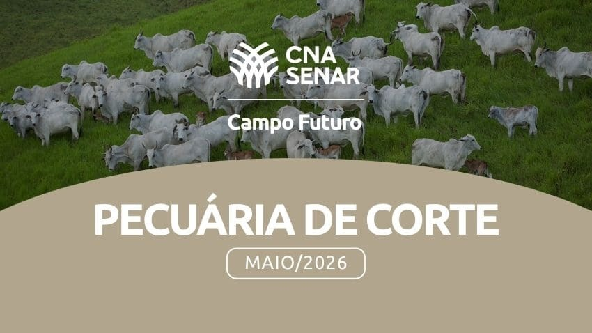 Pecuaria de corte maio 2026