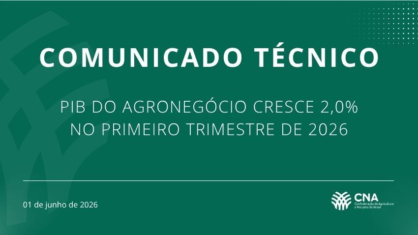 Comunicado tecnico PIB 2026