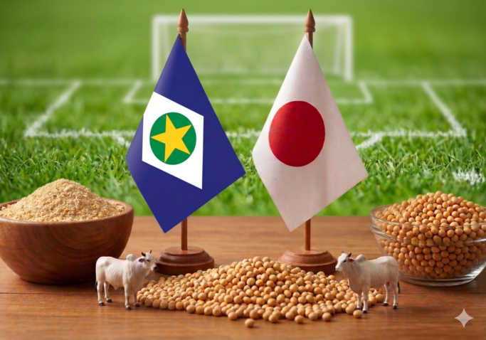 MT Japao Copa Gemini 1
