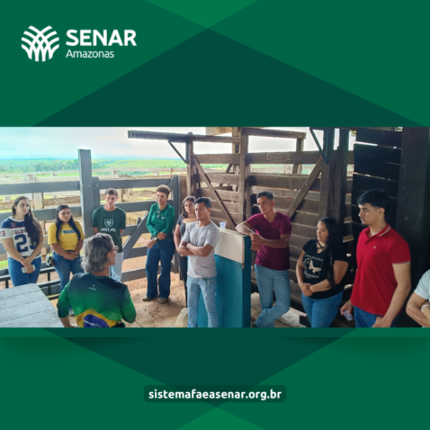 Capa Materia cursos fpr junho Site 4