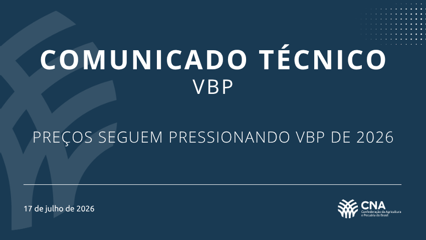 VBP 17 de julho de 2026