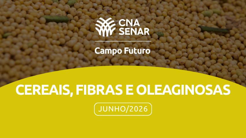 Cereais Fibras e Oleaginosas VALE ESTE