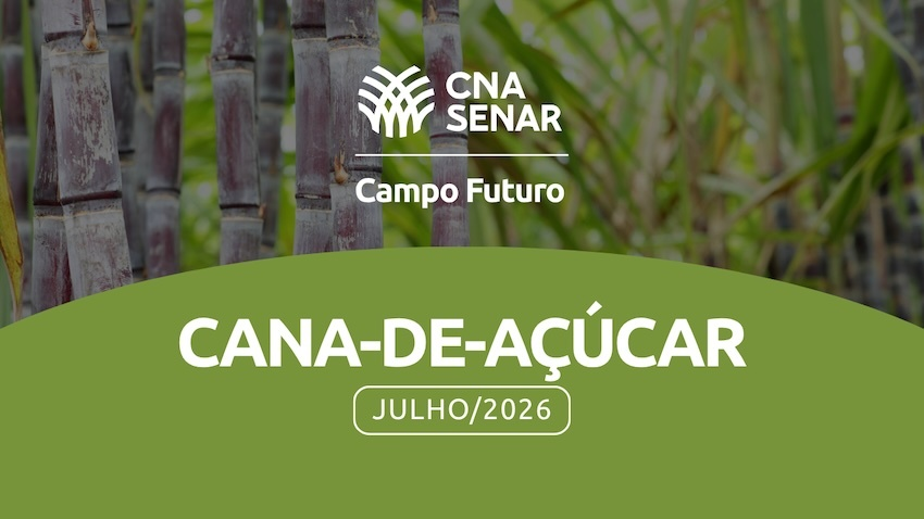 Capa Cana de acucar Ativos julho 2026