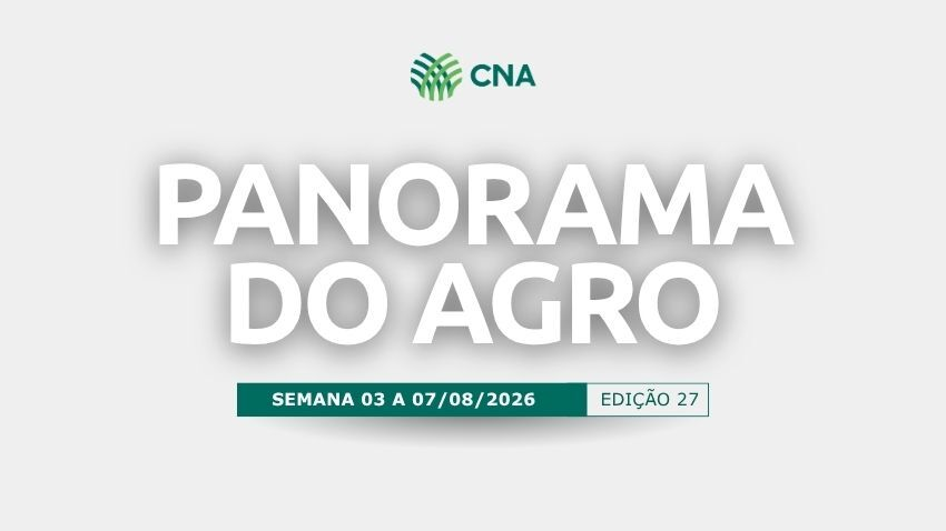 Capinha panorama 27