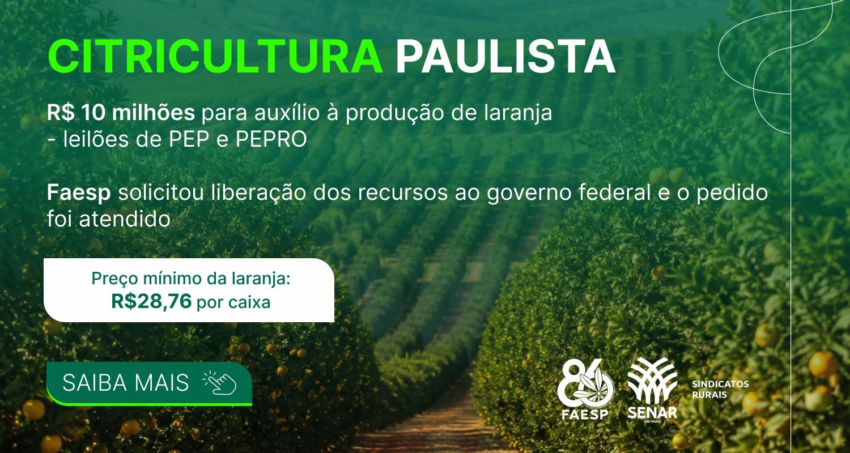 Banner Site 1500x800 DEFESA DA CITRICULTURA 1