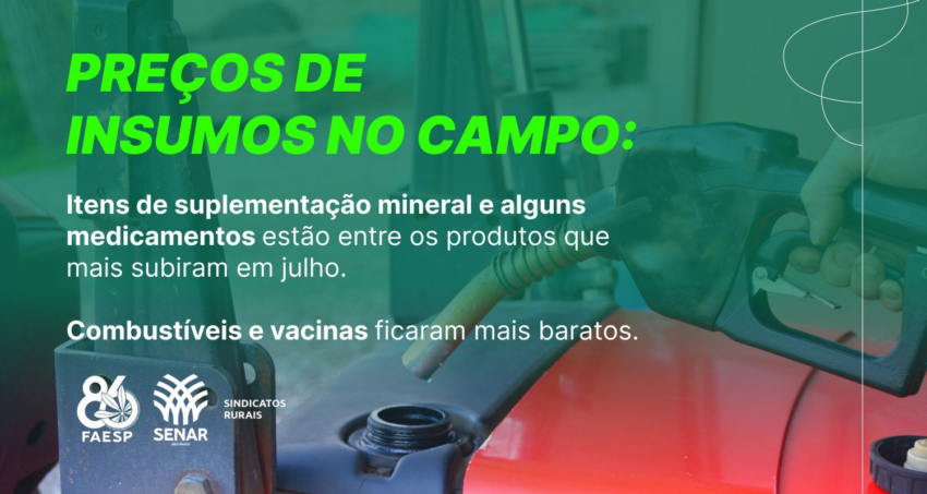 Banner Site 1500x800 RADAR INSUMOS 1