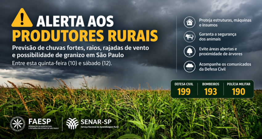 ALERTA