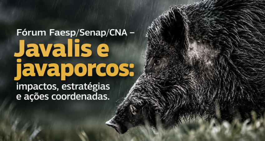 Banner Forum Javalis