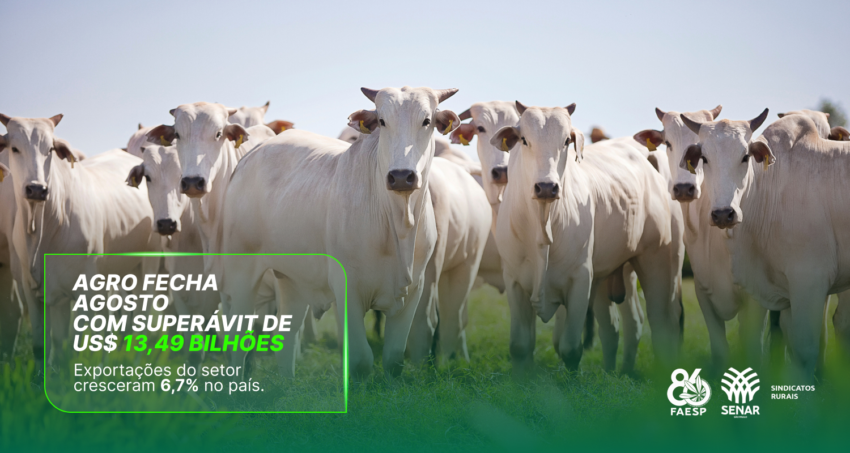 Banner Site 1500 X800 RELATORIO COMERCIO EXTERIOR 1