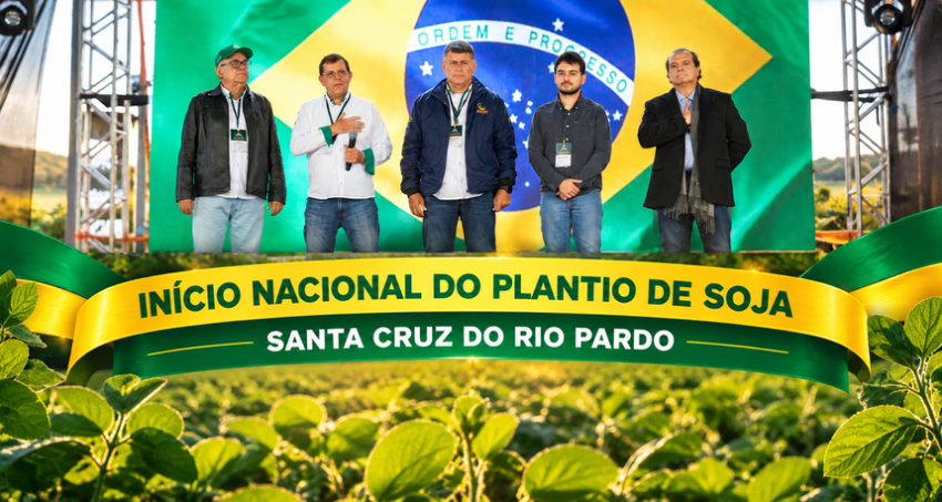Banner Santa Cruz Soja