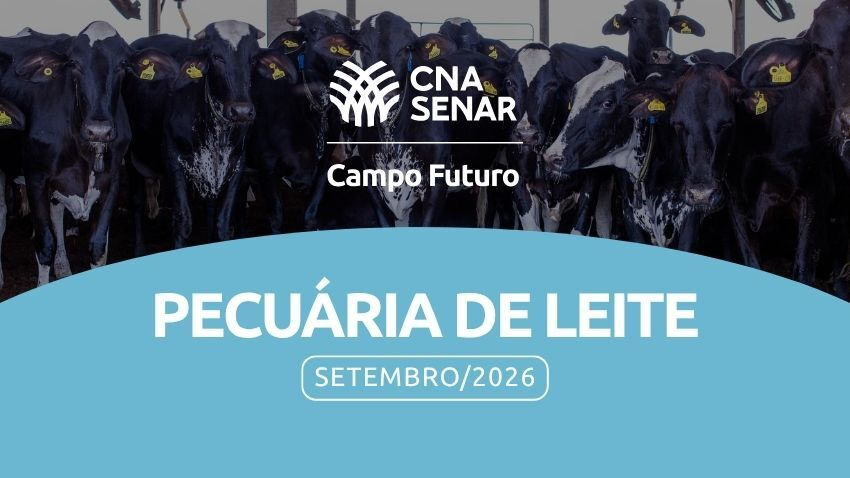 Capa Eficiencia na producao de silagem set 26