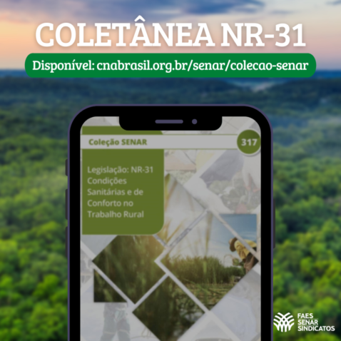 COLETANEA NR 31