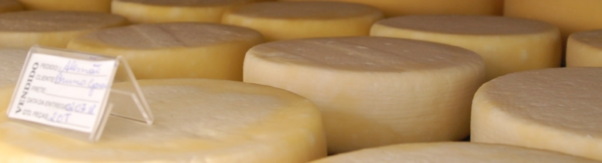 Queijo