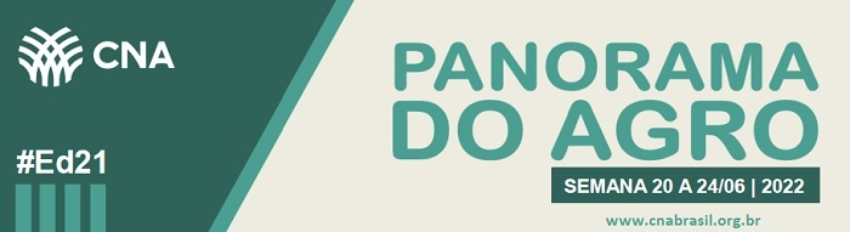 Banner PA 21 2022