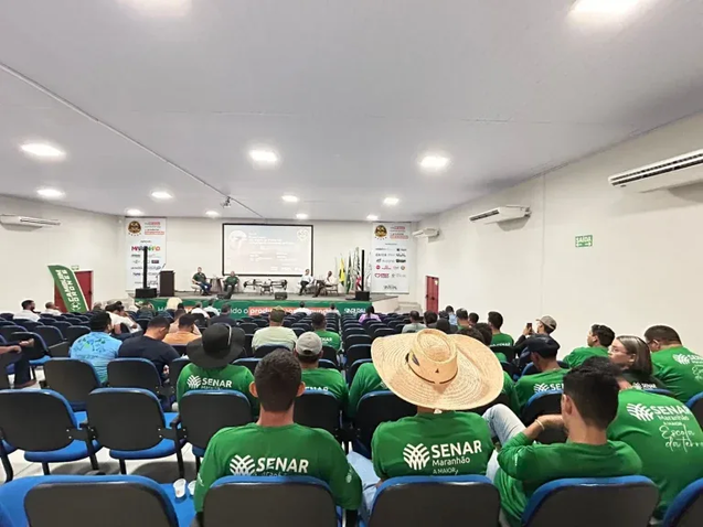 Foto 02