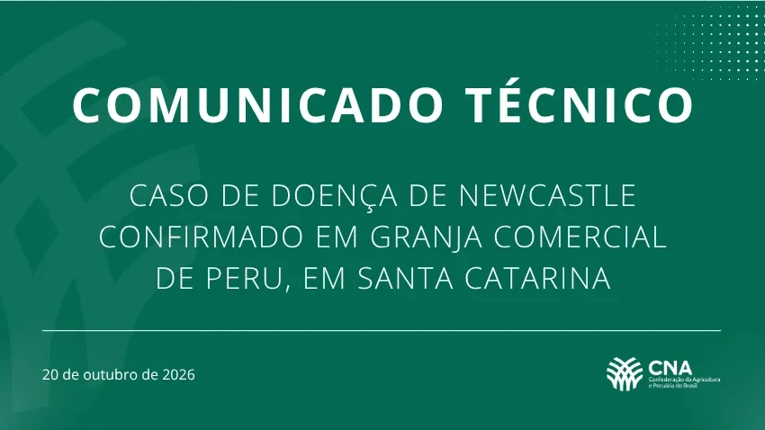 Newcastle - CNA reforça confiança na defesa sanitária e no compromisso dos produtores com biosseguridade