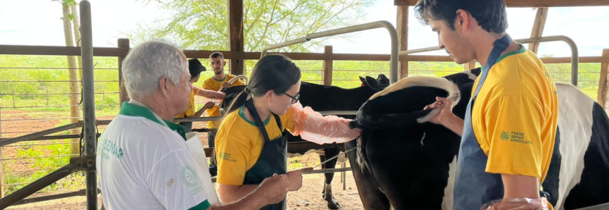 Alunos do Senar Jovem de bovinocultura de leite participam de curso de Inseminação Artificial