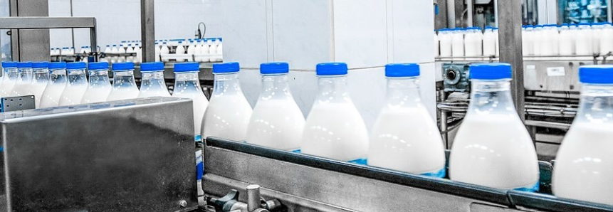 Valor de referência do leite despenca 17% em agosto, aponta Conseleite-PR