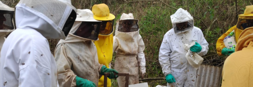 Apicultores participam de treinamento sobre produtividade do mel no extremo oeste