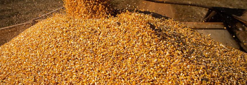CNA debate plano de fertilizantes e enfezamento do milho no Mapa