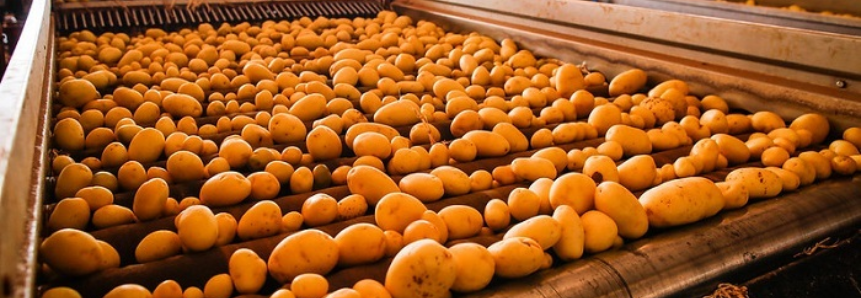 CNA propõe manutenção de antidumping para batata congelada