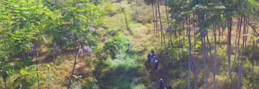 Aula prática de Legislação e Política Florestal na área experimental do Projeto Biomas na Amazônia