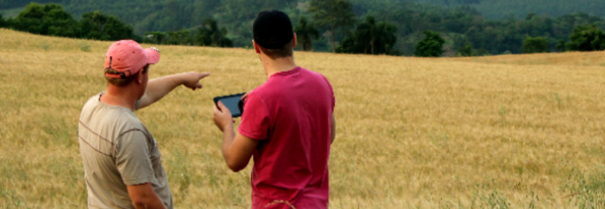 Internet da coisas chega à agricultura e deve investir R$ 100 milhões em 2019