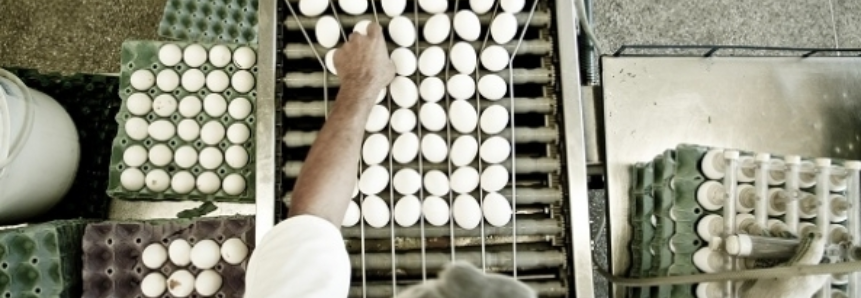 Preços dos ovos aumentam com maior demanda