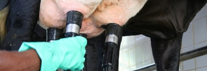 CNA propõe mudanças em portarias que tratam do controle da qualidade e sanidade do leite