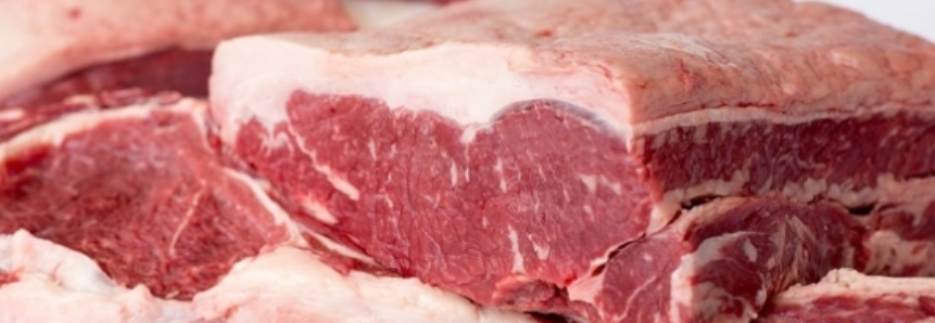 Mato Grosso do Sul produziu 813 mil toneladas de carne bovina em 2017