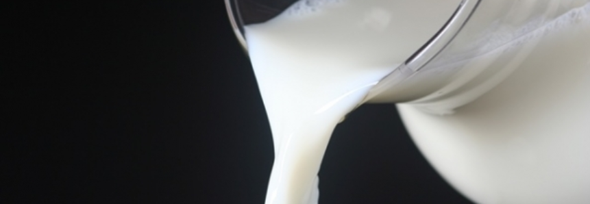 Estiagem em SC afeta pastagens e produção de leite deve ser 8% menor