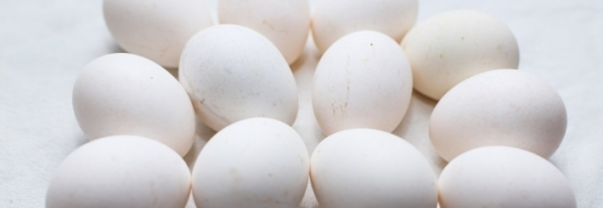 Ovos: evolução quase 15% superior no decorrer de novembro