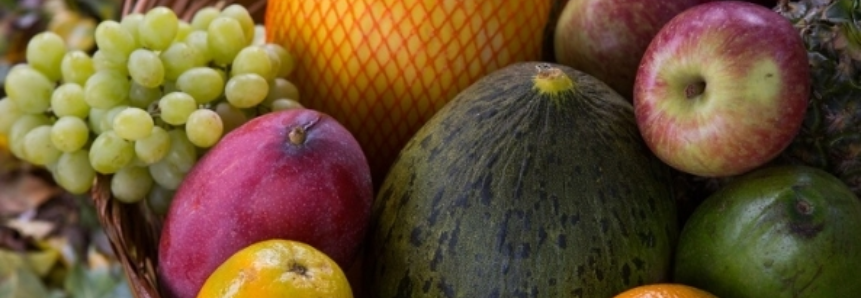 Com alta na demanda da UE por frutas, receita exportadora do Brasil pode ser recorde