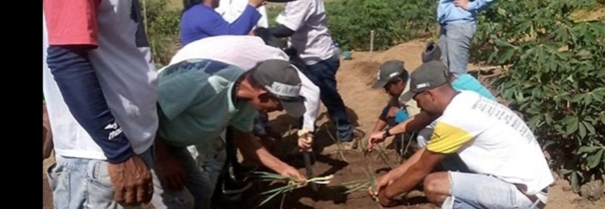 Produtores rurais de Minas Gerais são capacitados para implantação de hortas