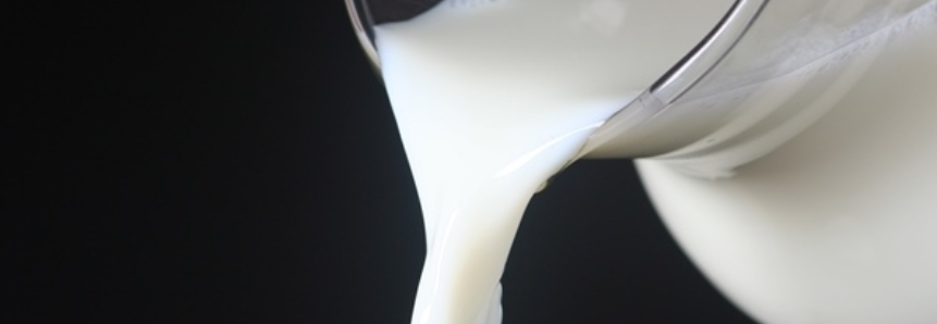 Leite: Após 19 semanas em queda, leite UHT e muçarela registram alta
