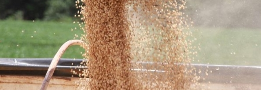 Em setembro, IBGE prevê safra de grãos 30,3% superior a 2016