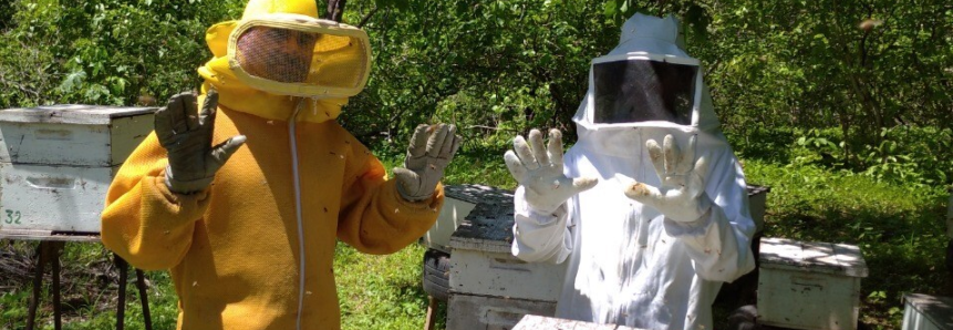 “Estamos chegando em um nível que nunca tinha visto”, diz apicultor assistido pela ATeG