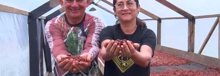 Família cultiva cacau de várzea e produz chocolate em Oiapoque (AP)