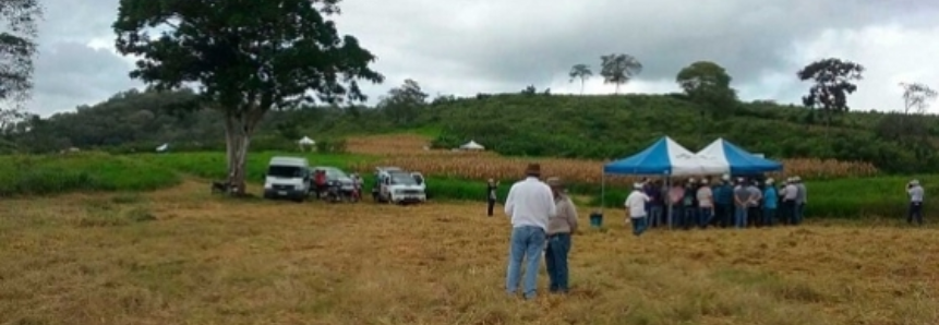 SENAR participa de Seminário sobre iLPF em Campina Grande