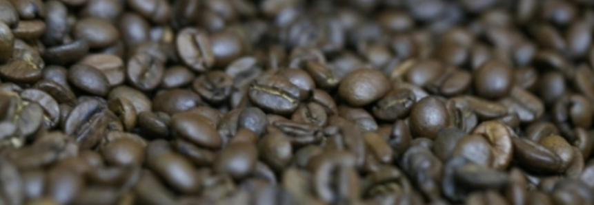 Produção de café na Colômbia deve atingir nível recorde, diz USDA
