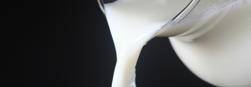 Mercado internacional de lácteos registra alta de preços