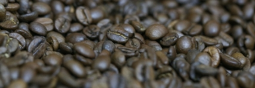 Café: Bolsa de Nova York opera em alta nesta tarde de 4ª depois de quase cair abaixo de US$ 1,30/lb na véspera