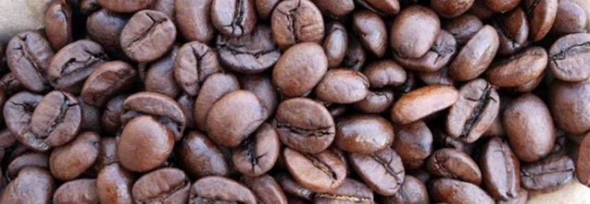 Café: Colheita de robusta está atrasada no ES