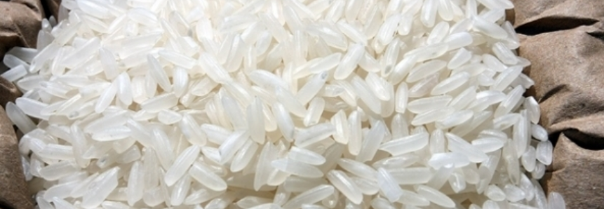 Governo peruano deverá importar arroz do Brasil