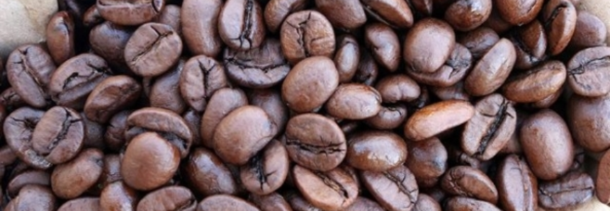 Exportação de café na safra cai 8% em volume e cresce 4,1% em receita