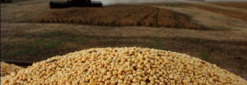 Brasil tem novo recorde de exportação de soja em abril; embarque de carnes recua