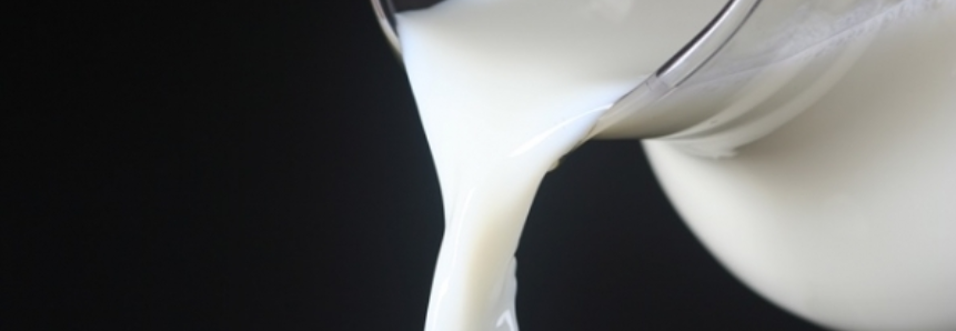 Setor lácteo aumenta exportações em 12,7% no primeiro trimestre de 2017